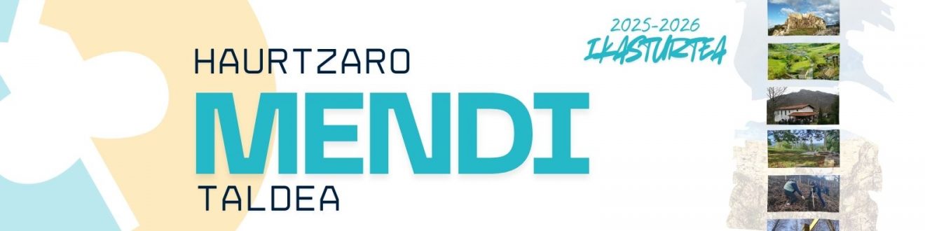 MENDI (2)