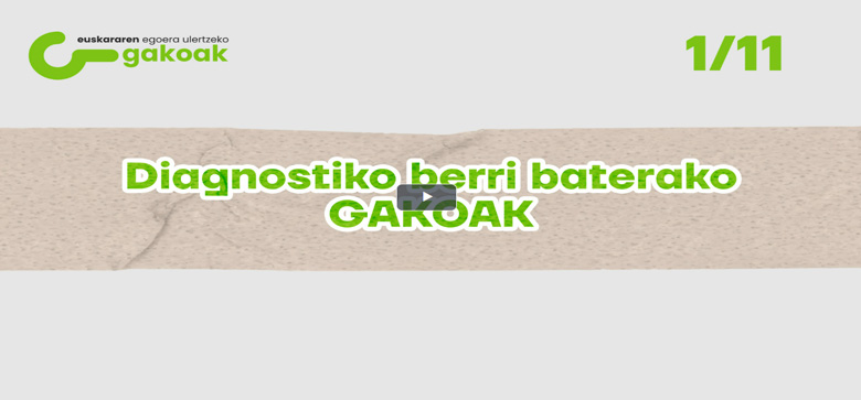 hamaika